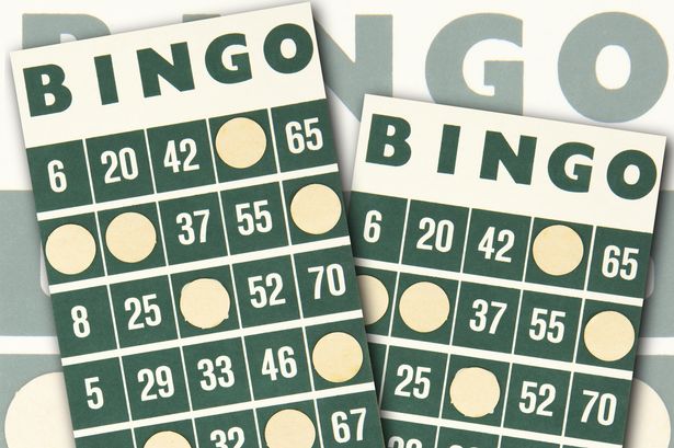 carton bingo business